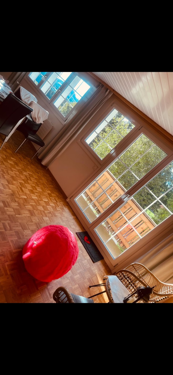 Appartement de 3 ½ pièces, photo 3 sur 10