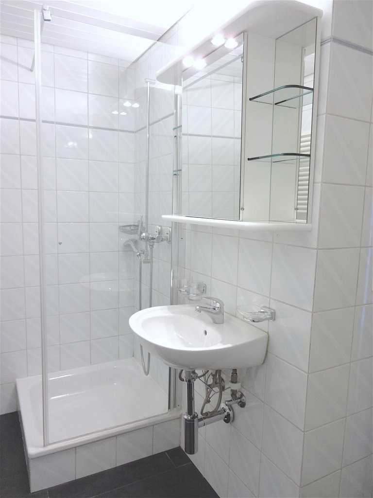 2 ½ rooms apartment, photo 7 sur 8