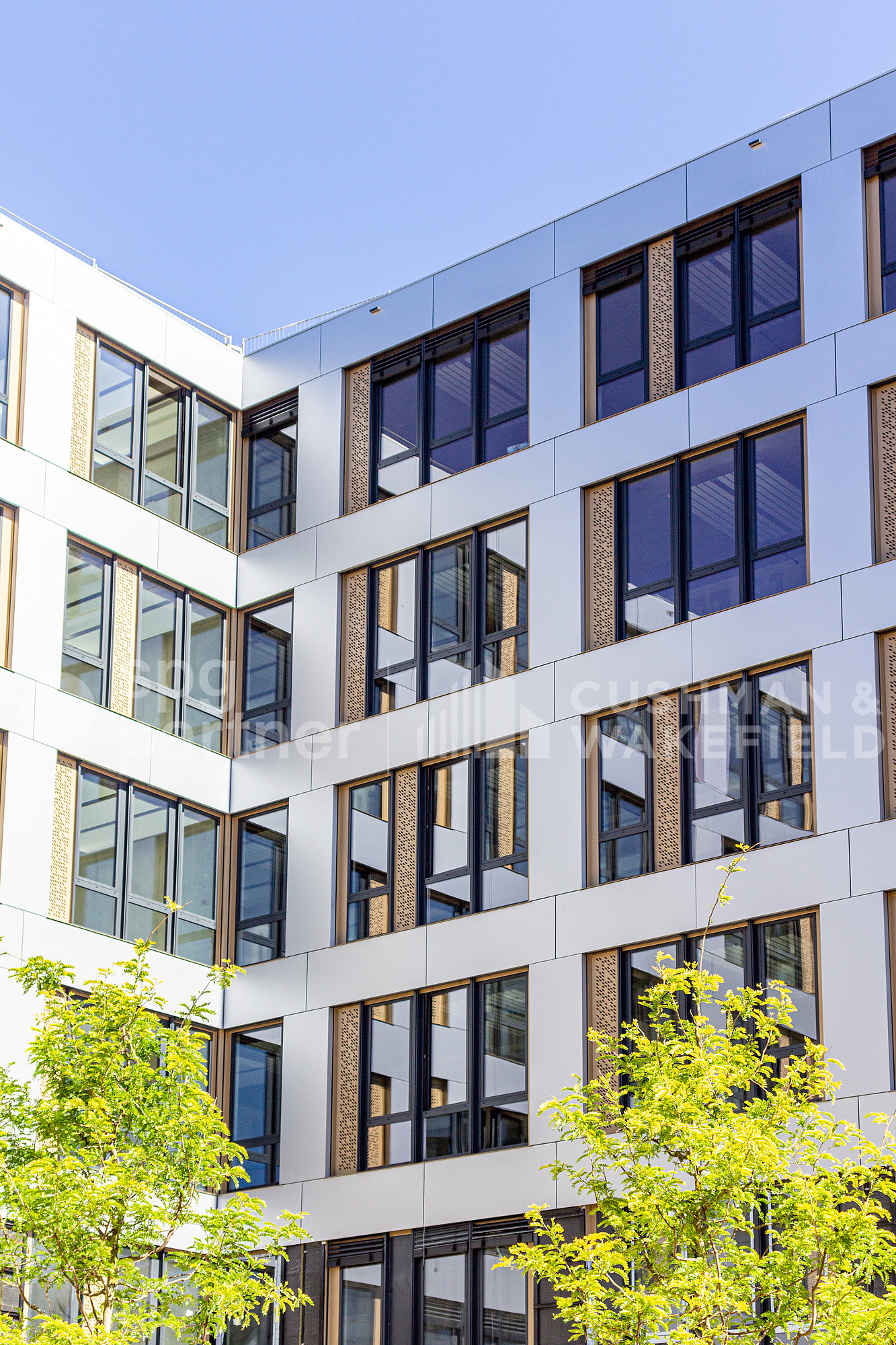 3000m² commercial
