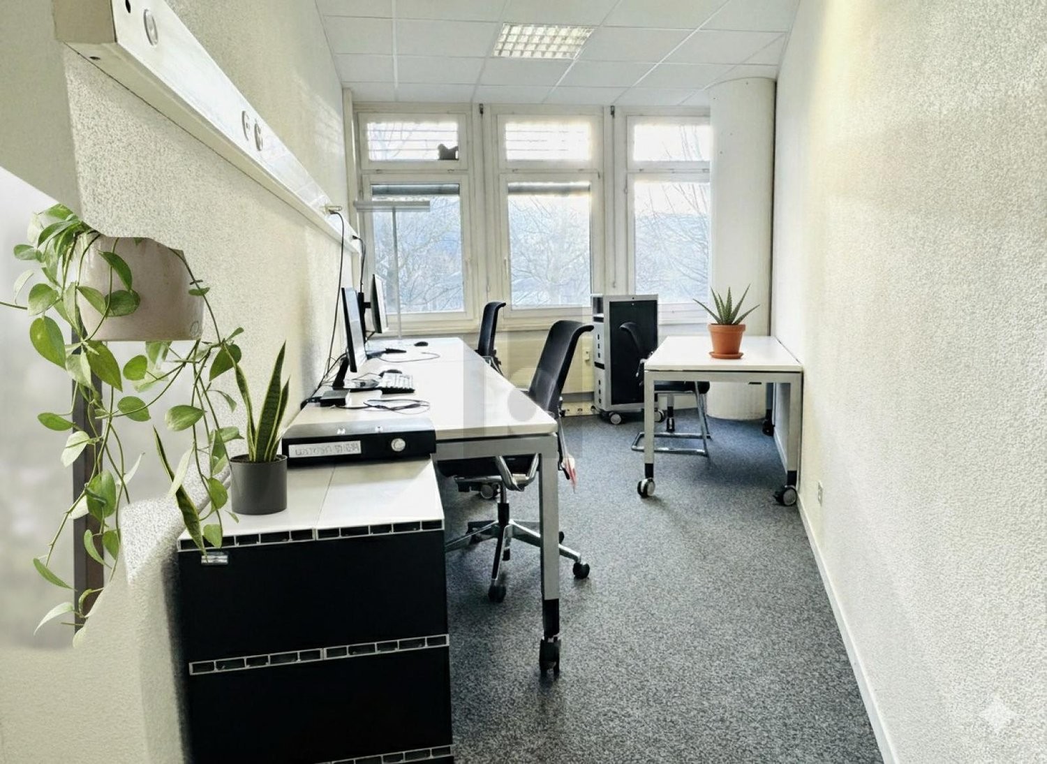 250m² bureau