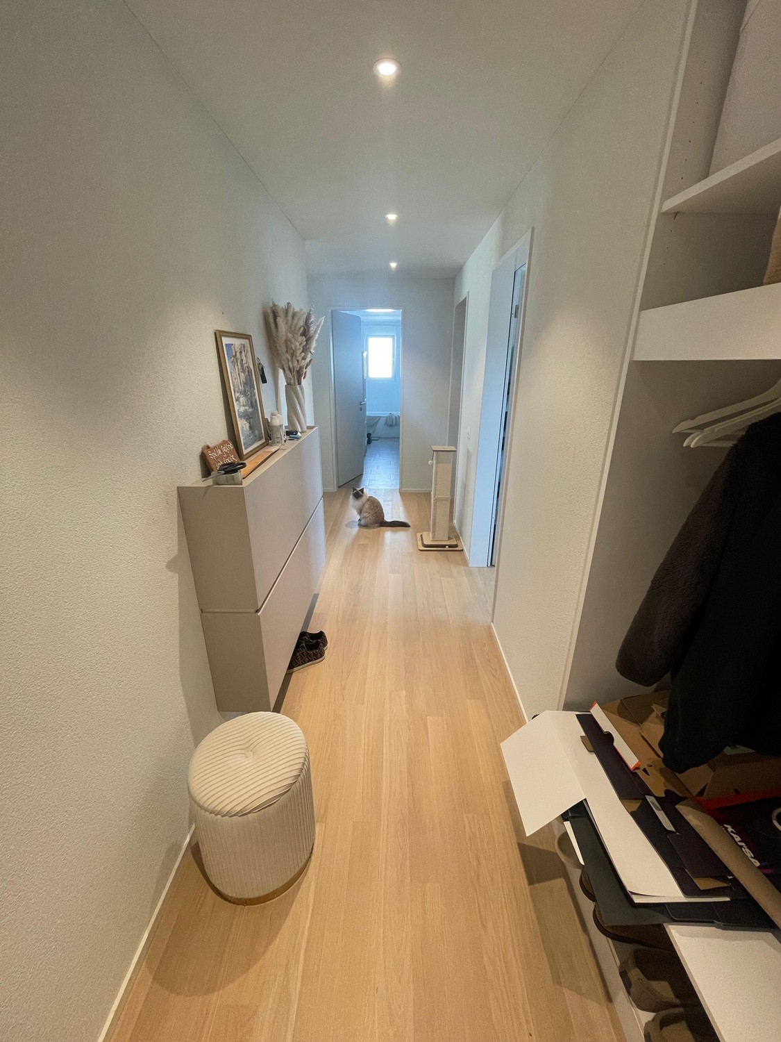 Appartement de 3 ½ pièces, photo 1 sur 10