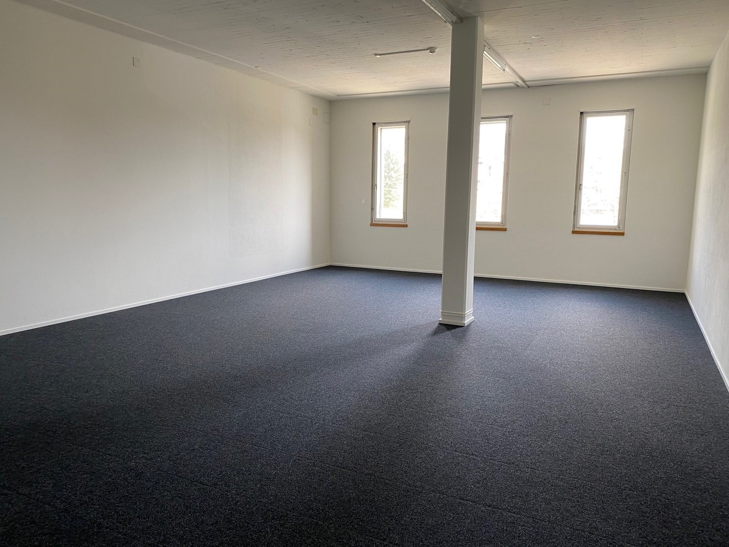 145m² commercial