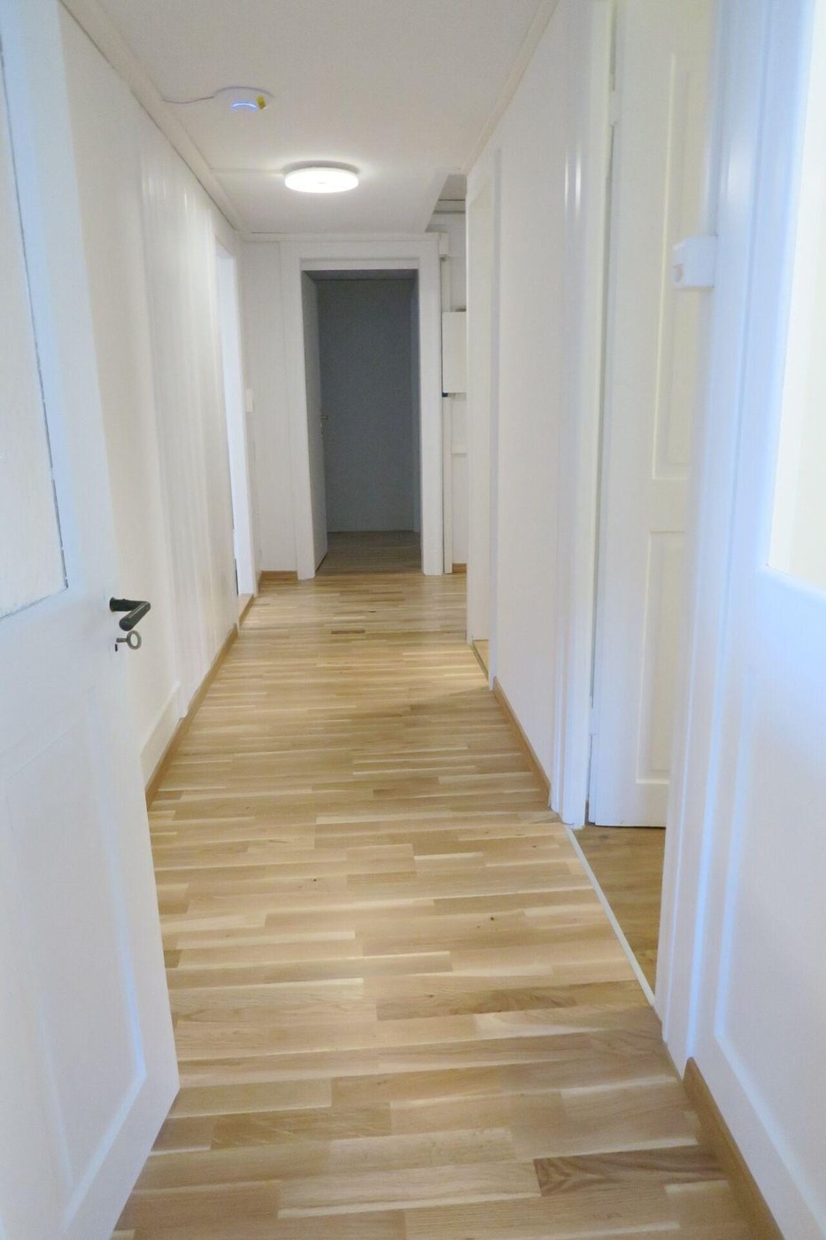Chambre en colocation