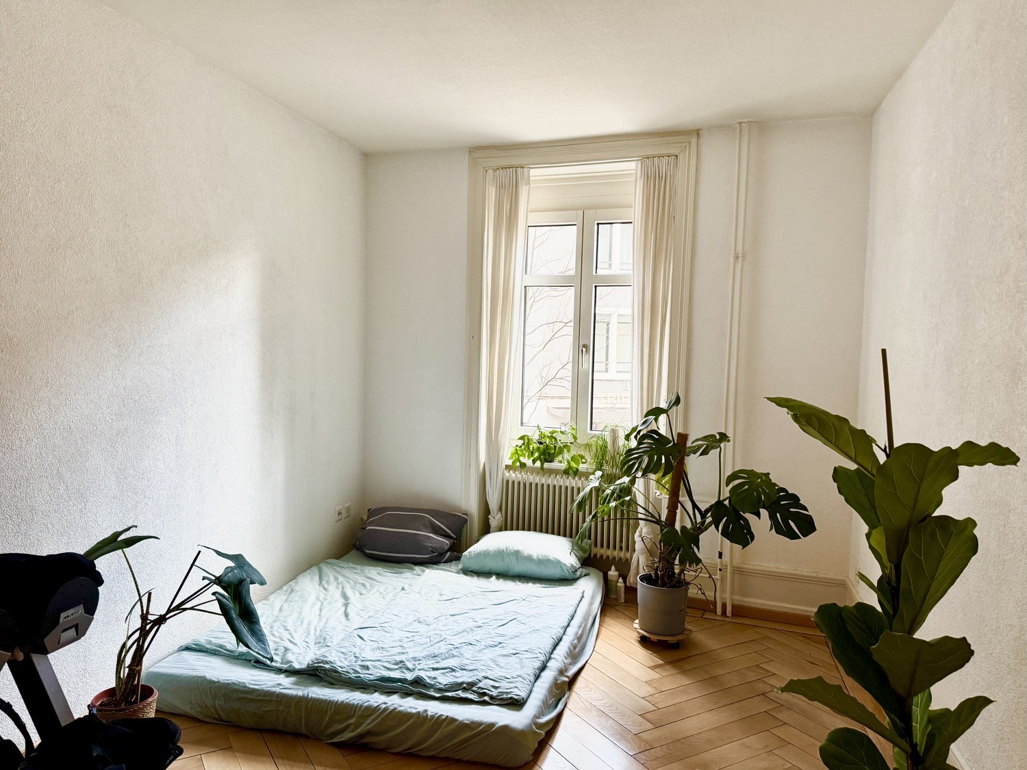 Chambre dans un appartement partagé, photo 3 sur 7