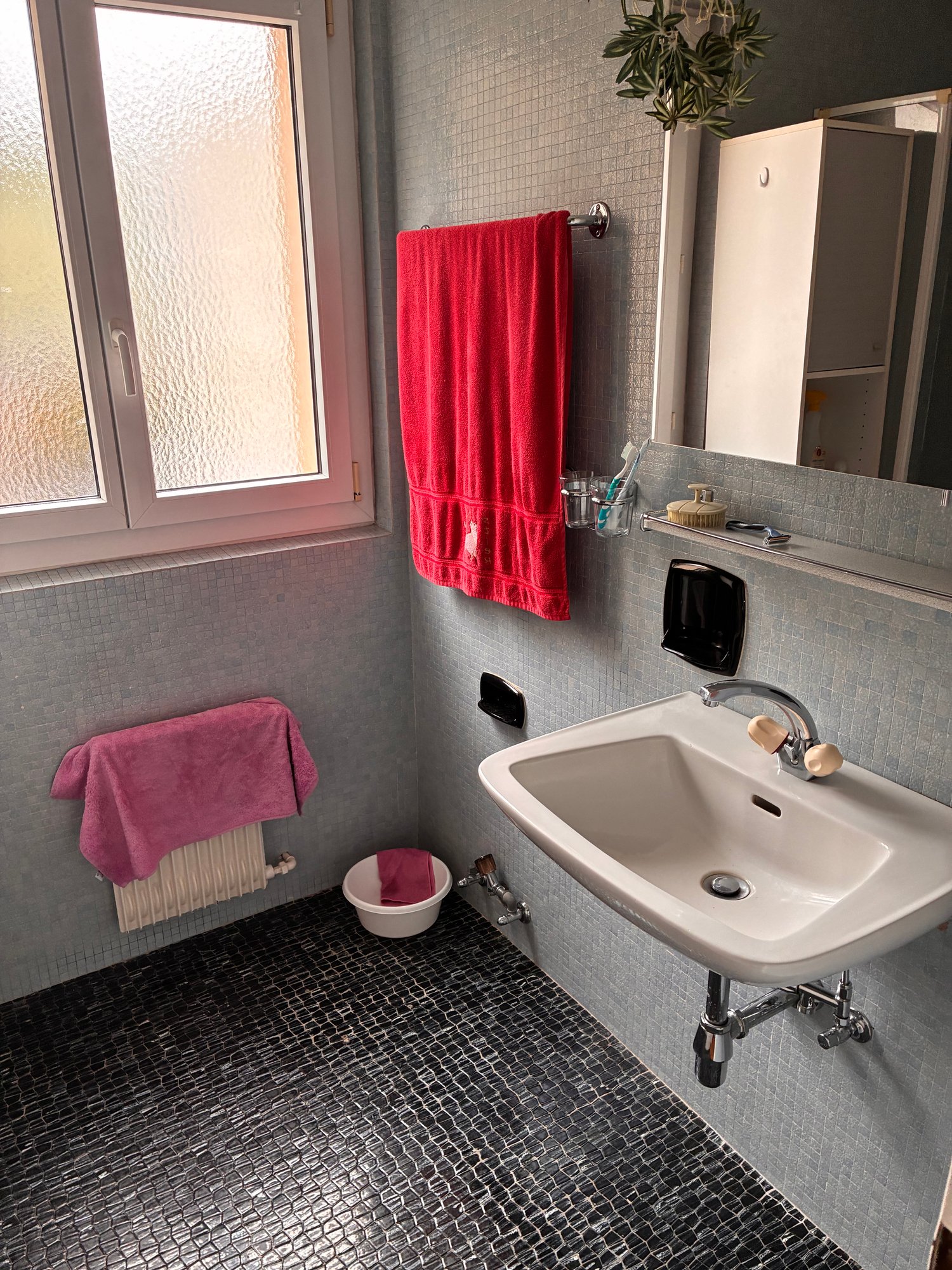 3 ½ rooms apartment, photo 9 sur 10