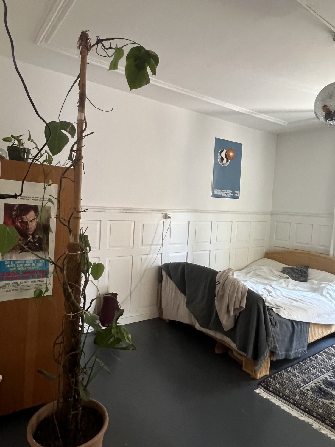 Chambre dans une colocation