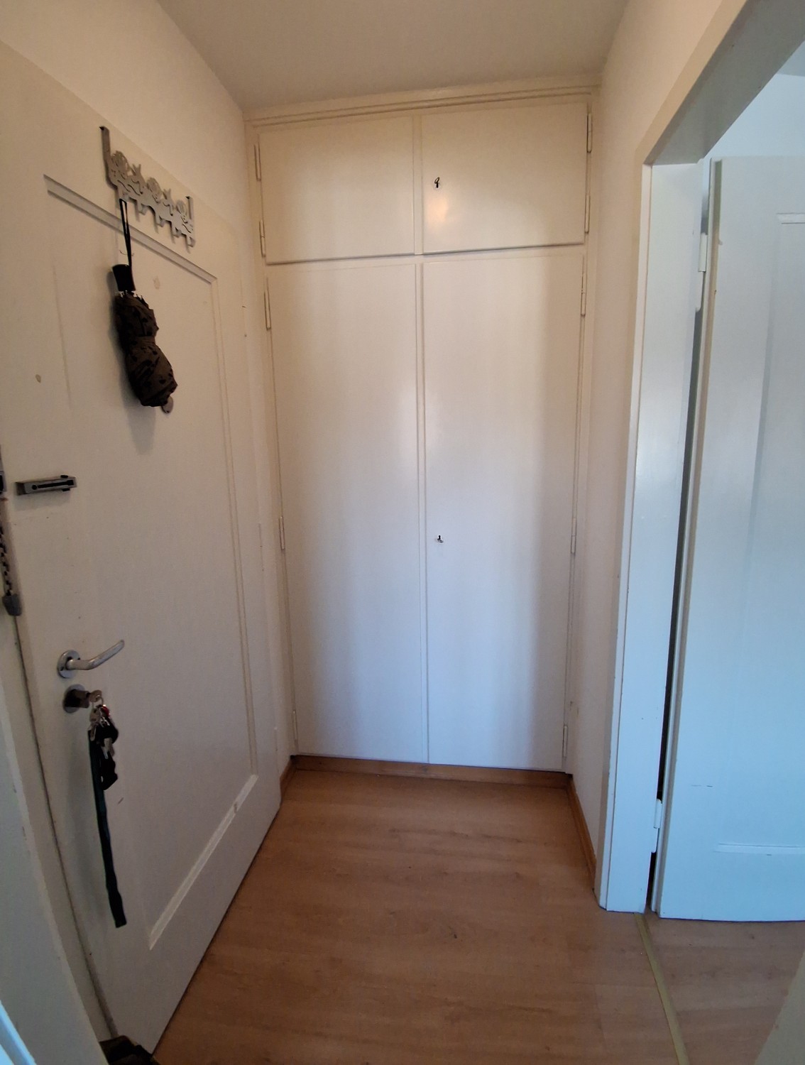 Appartement de 2 ½ pièces, photo 1 sur 4