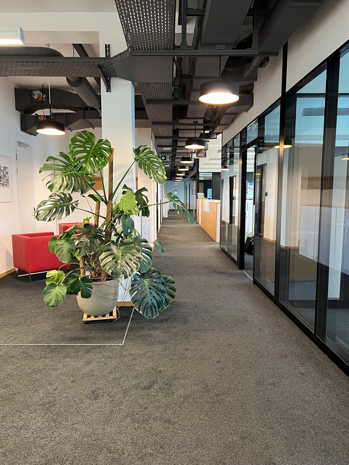 442m² bureau