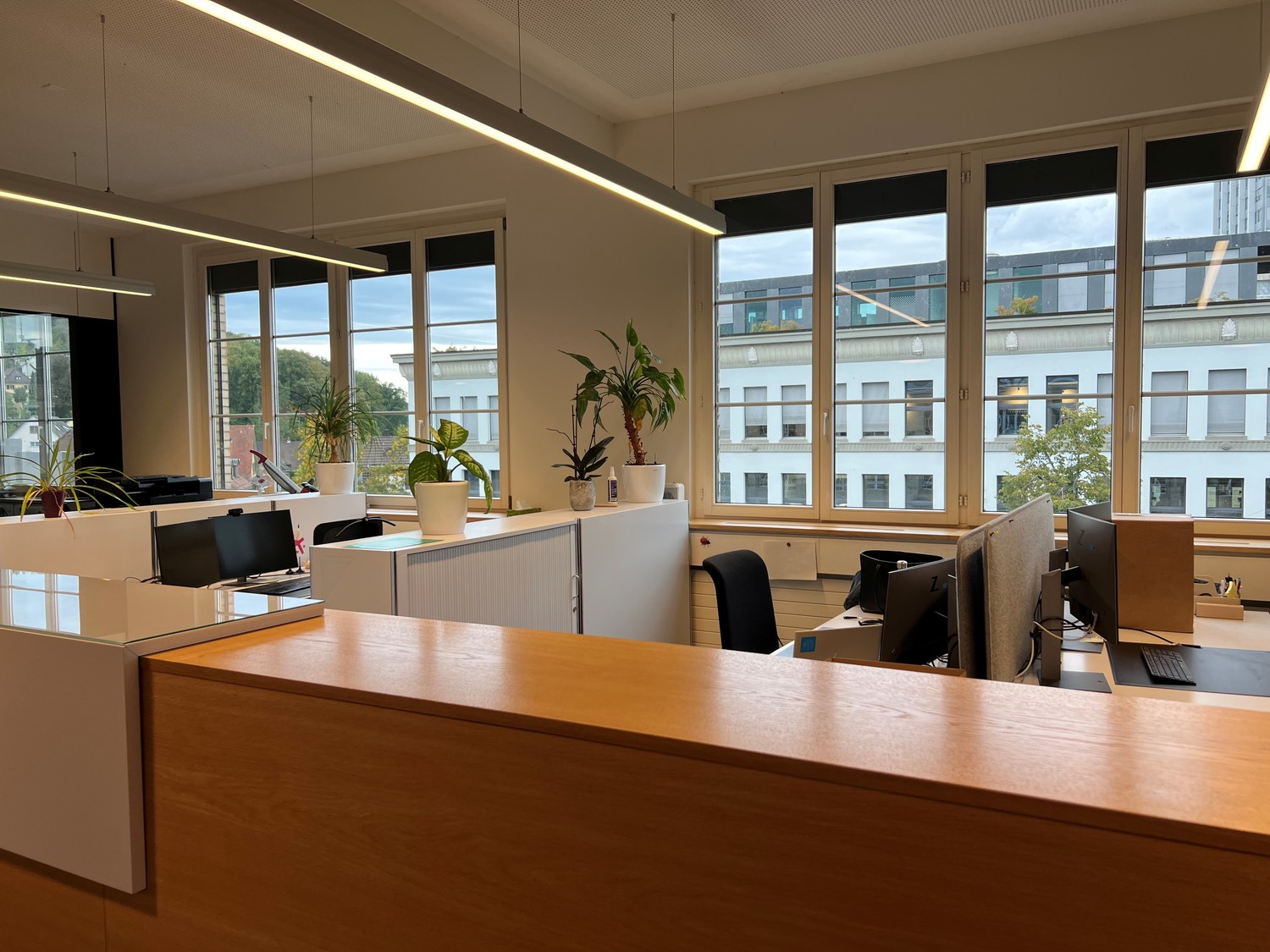 442m² bureau