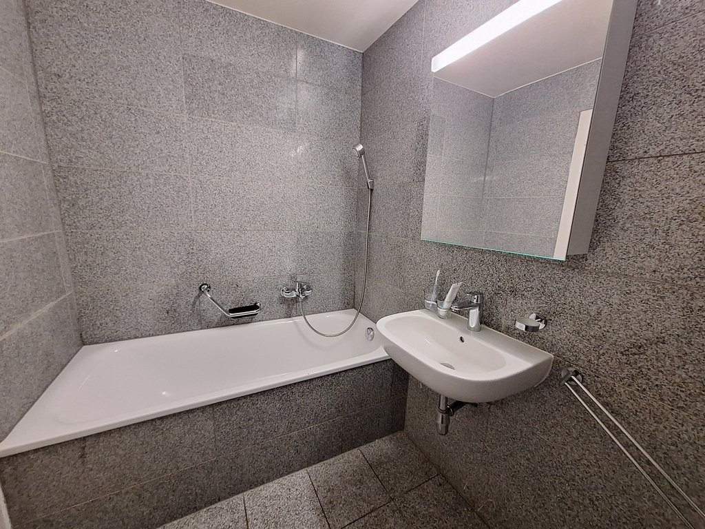 3 ½ rooms apartment, photo 9 sur 10