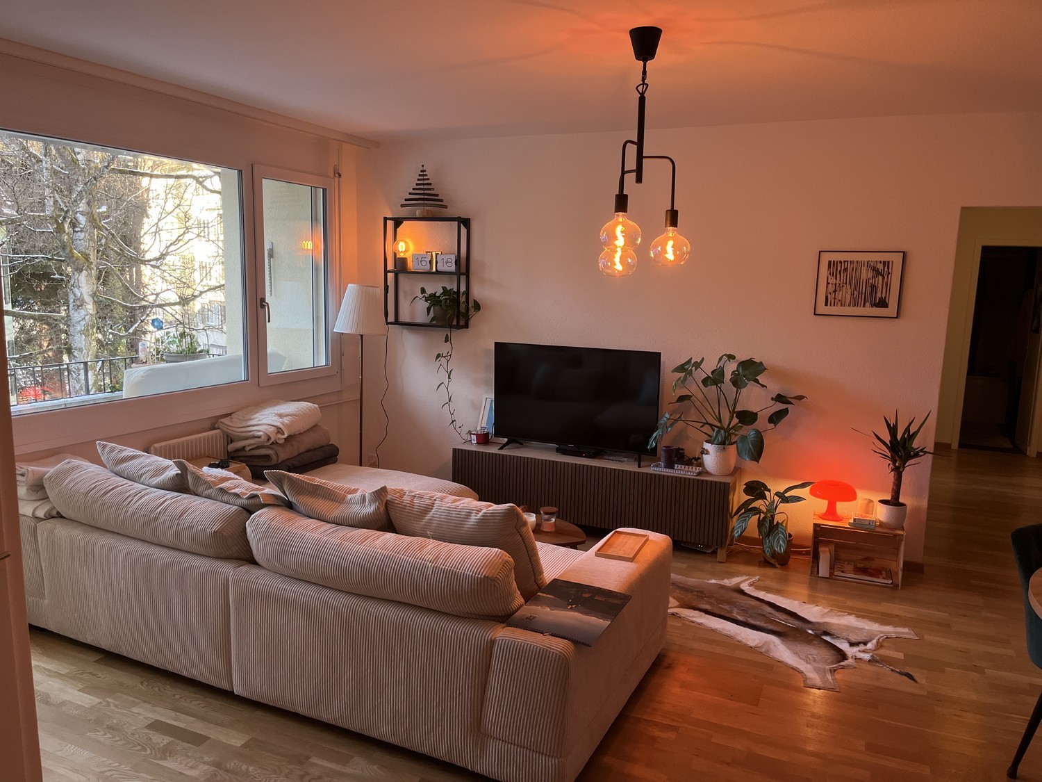 Chambre dans une colocation