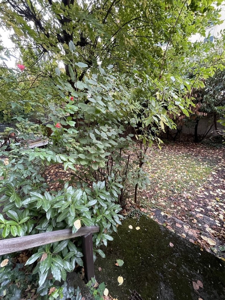 2 room apartment, photo 5 sur 9
