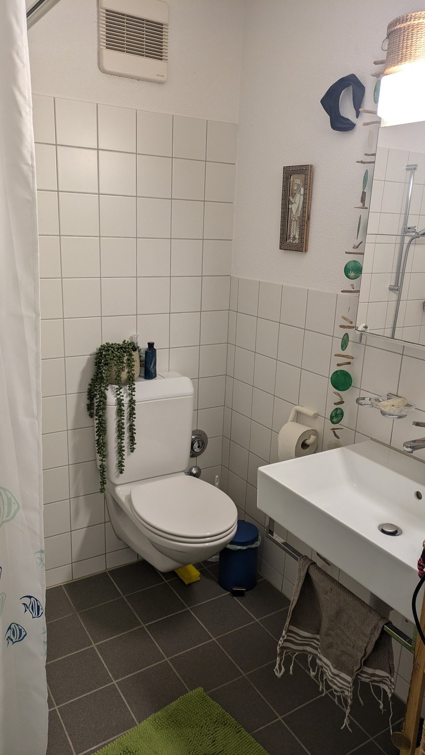 Appartement de 1 ½ pièces