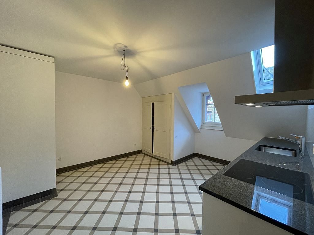 2 ½ rooms apartment, photo 3 sur 10