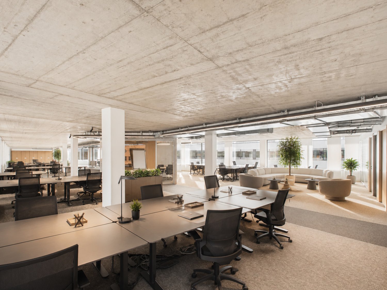 1190m² office