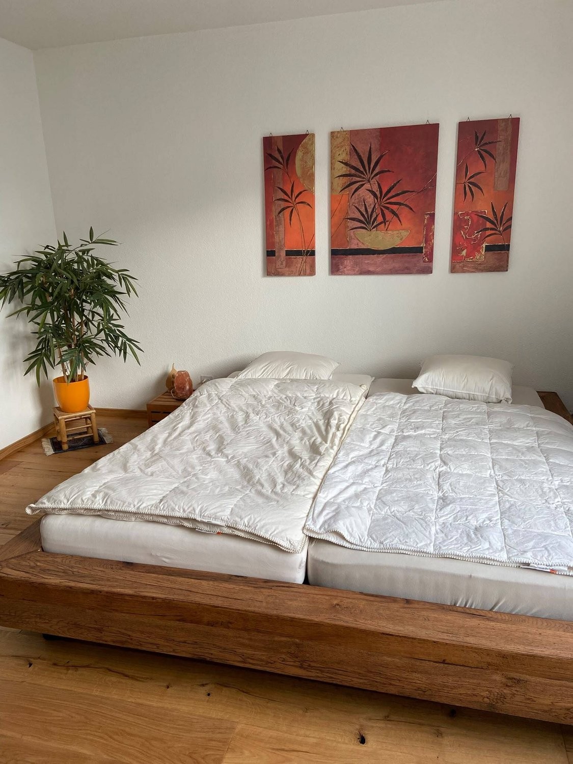 Appartement meublé de 3 ½ pièces, photo 3 sur 8