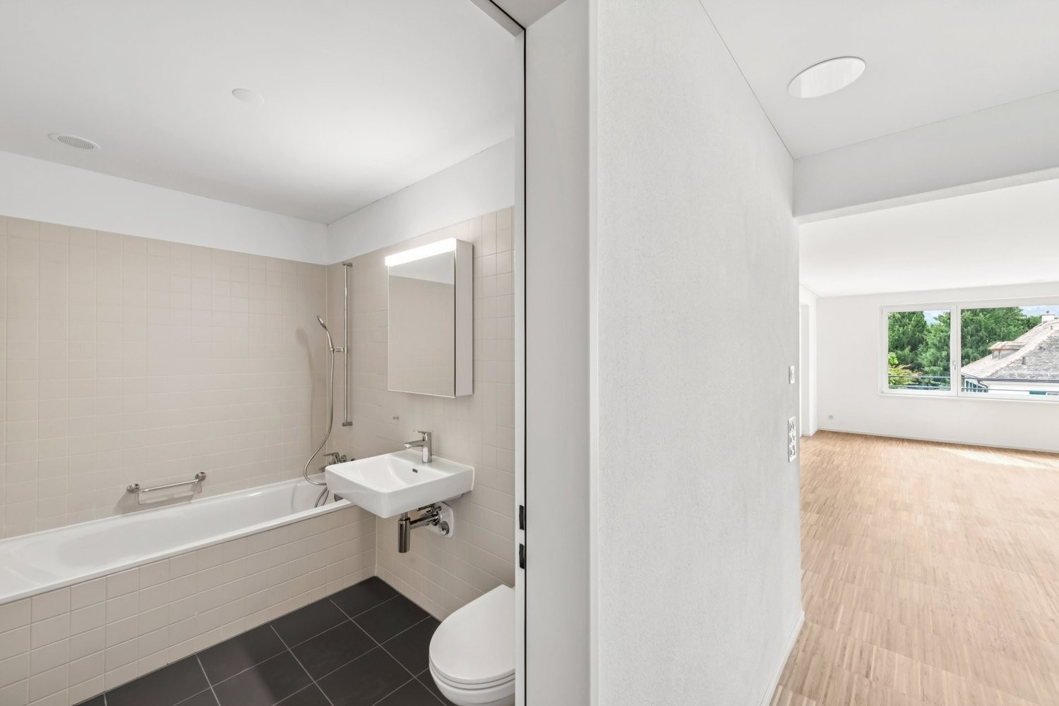 4 ½ rooms apartment