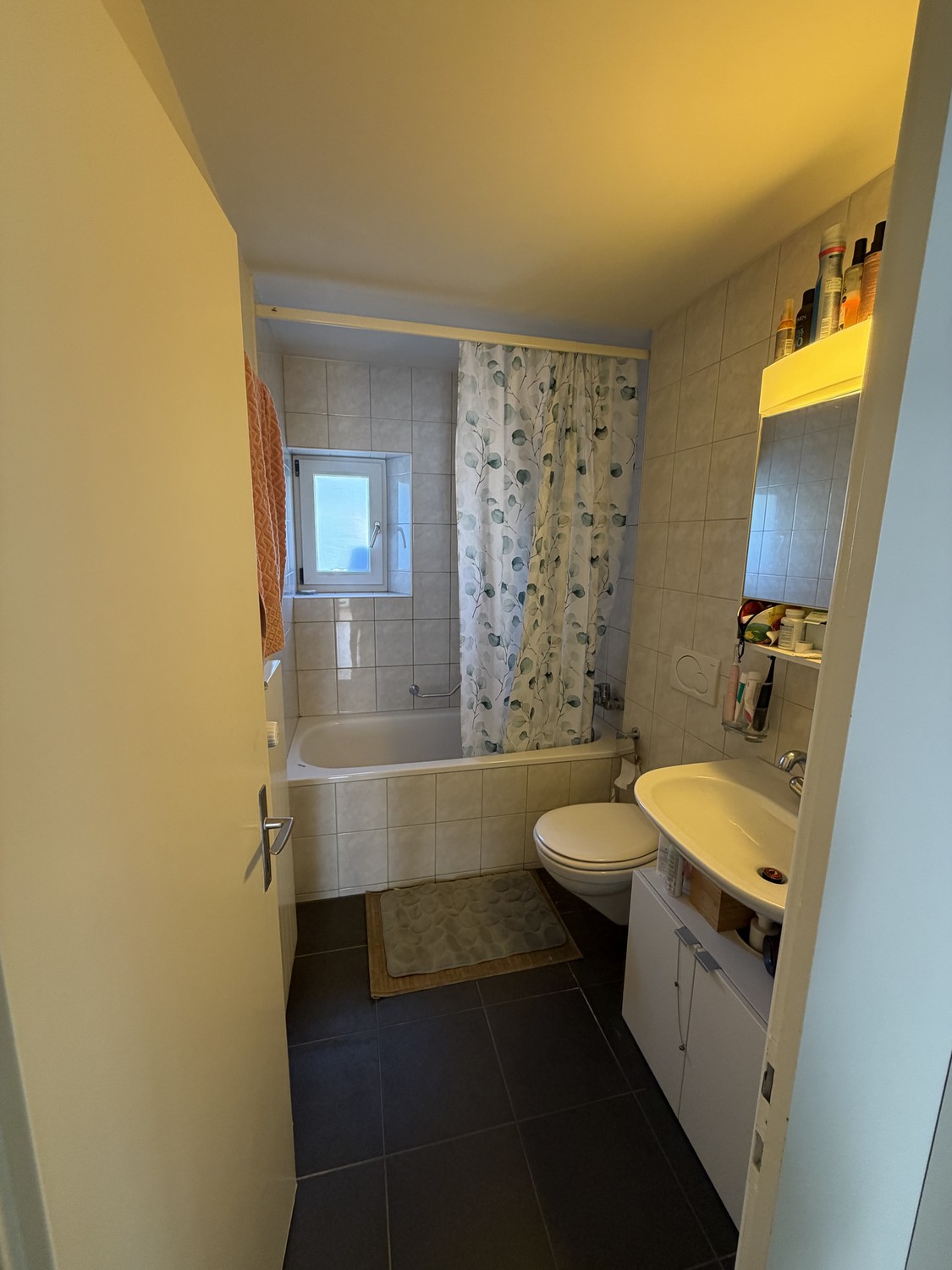 Appartement de 3 ½ pièces