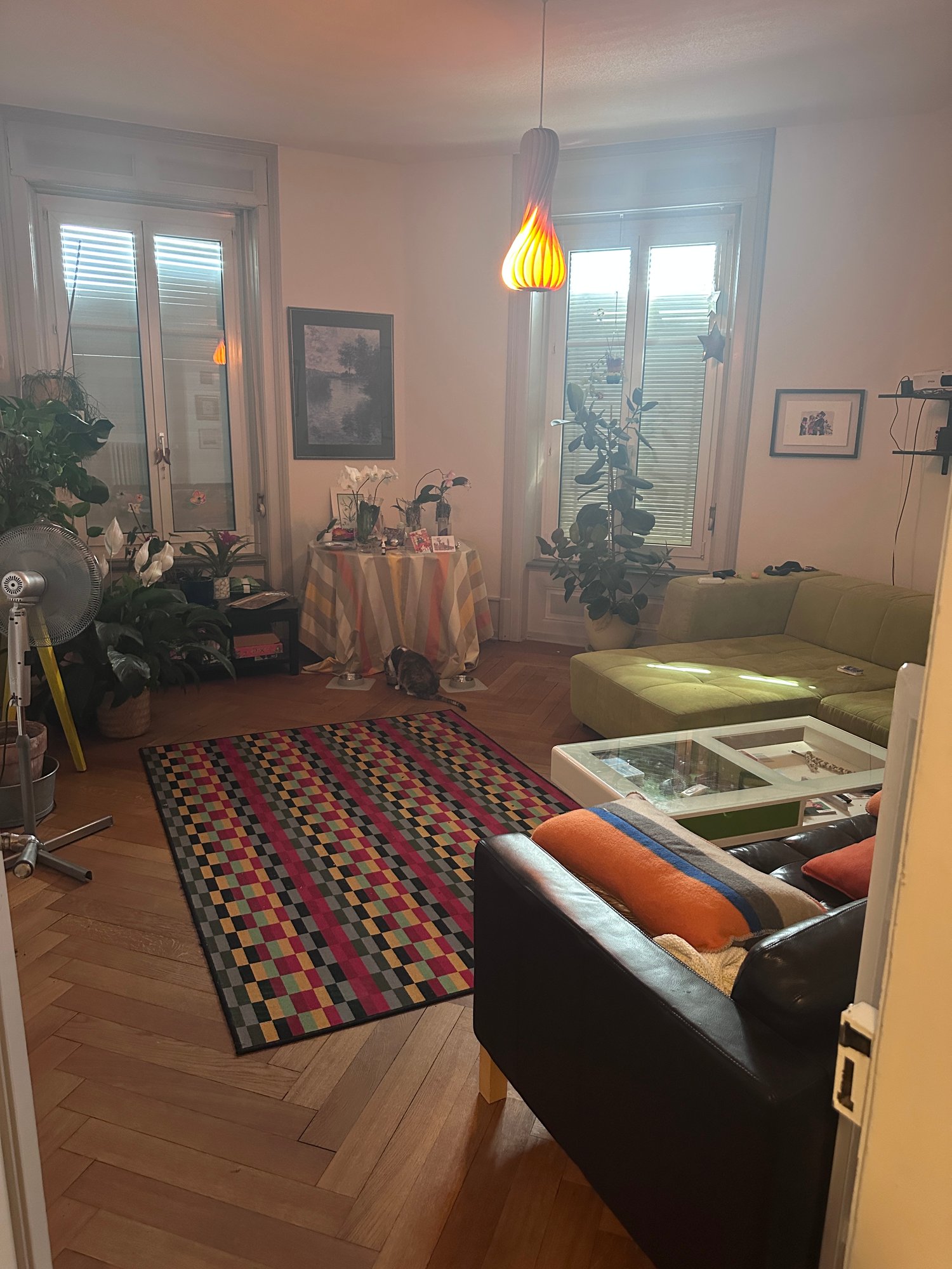Appartement de 5 ½ pièces, photo 5 sur 10