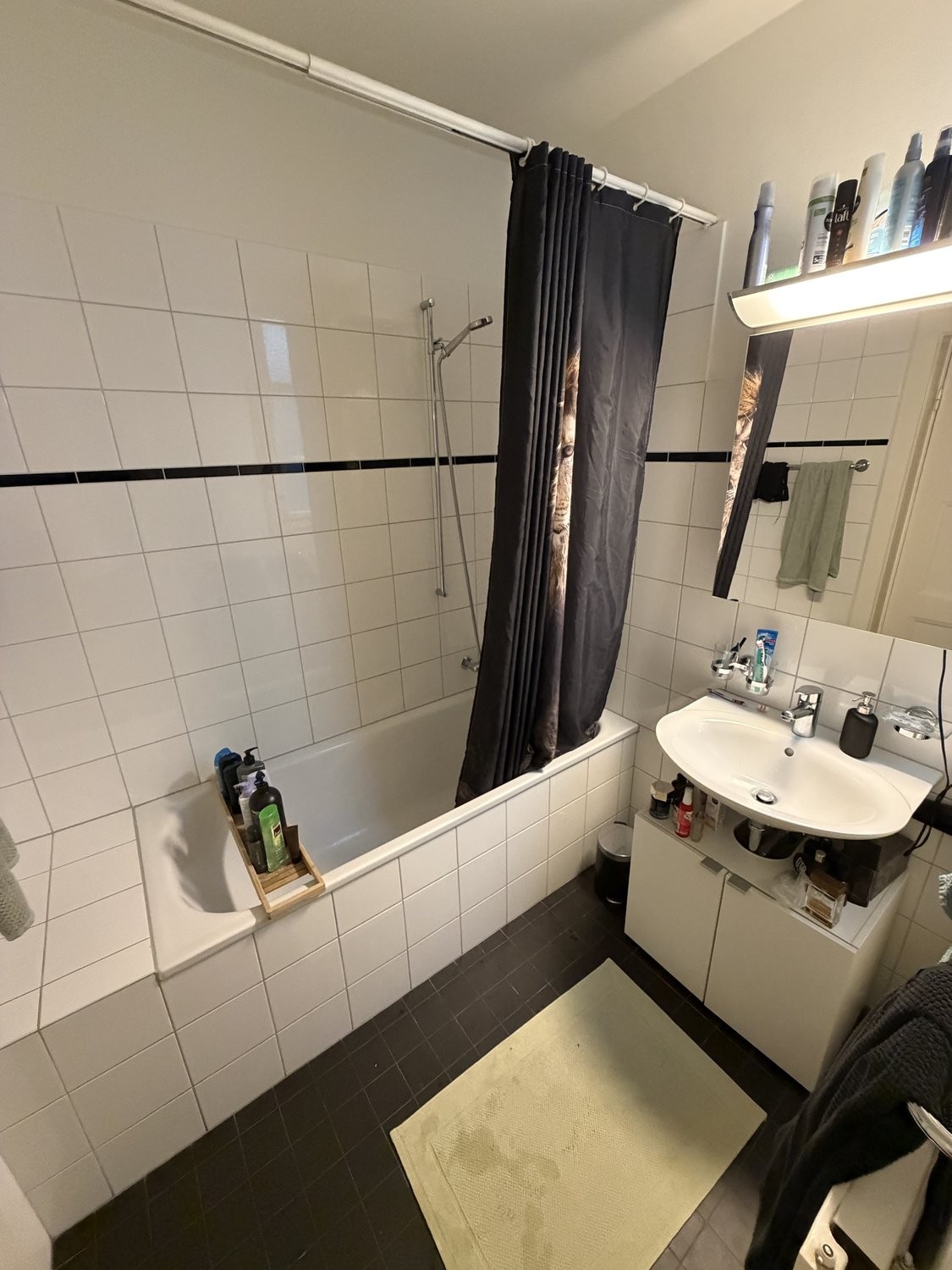 Appartement meublé de 2 pièces, photo 8 sur 9