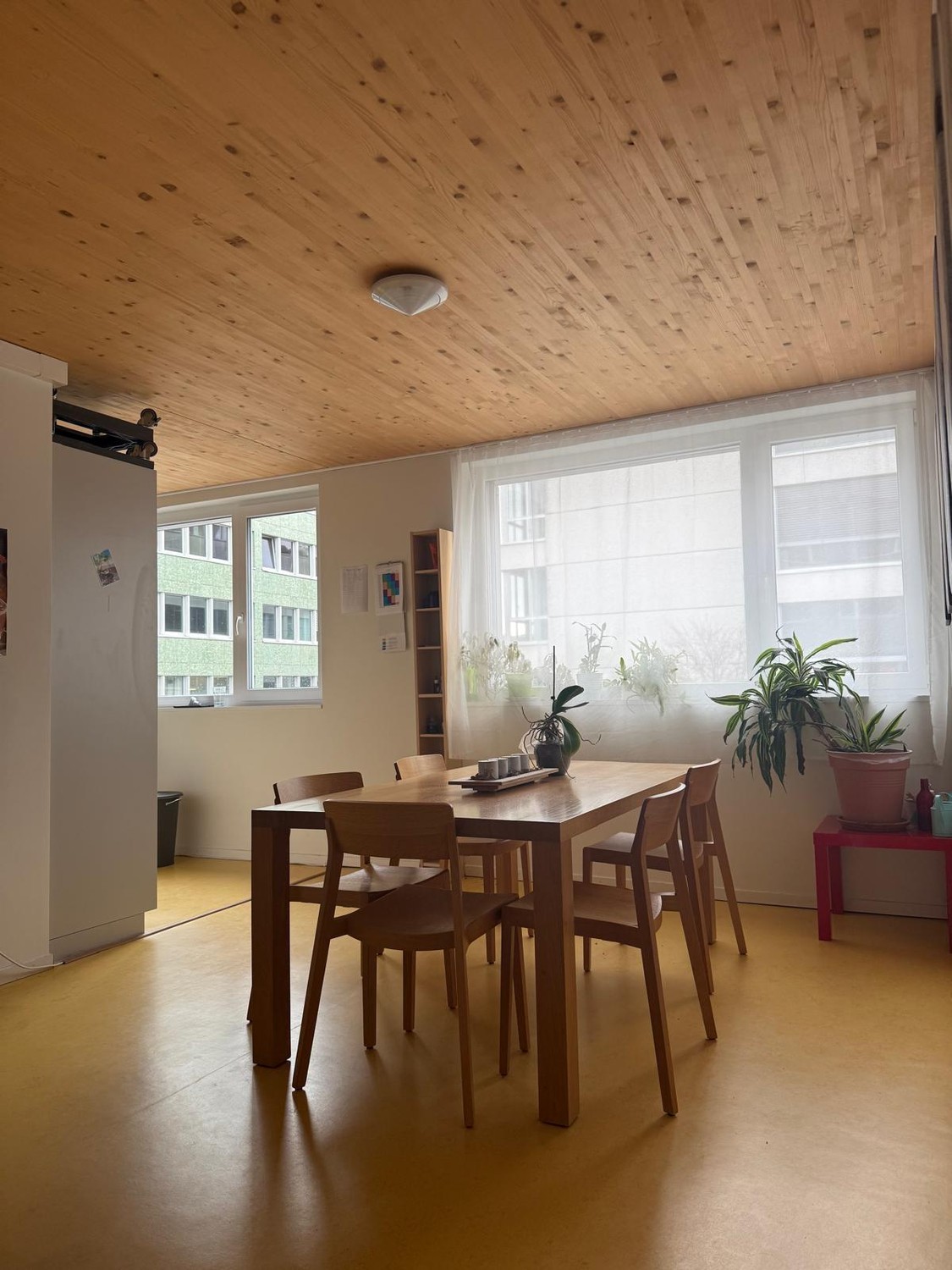 Chambre en colocation