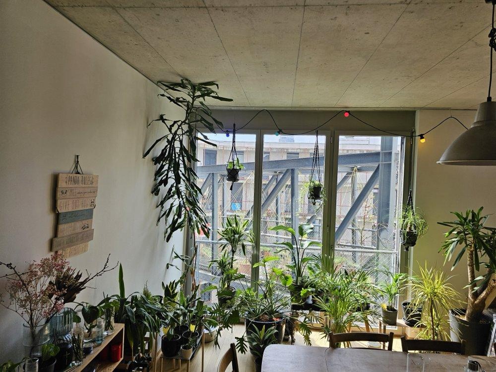 Chambre en colocation, photo 7 sur 10