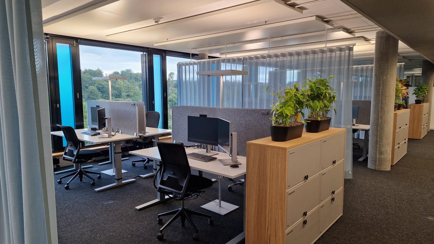 1300m² commercial