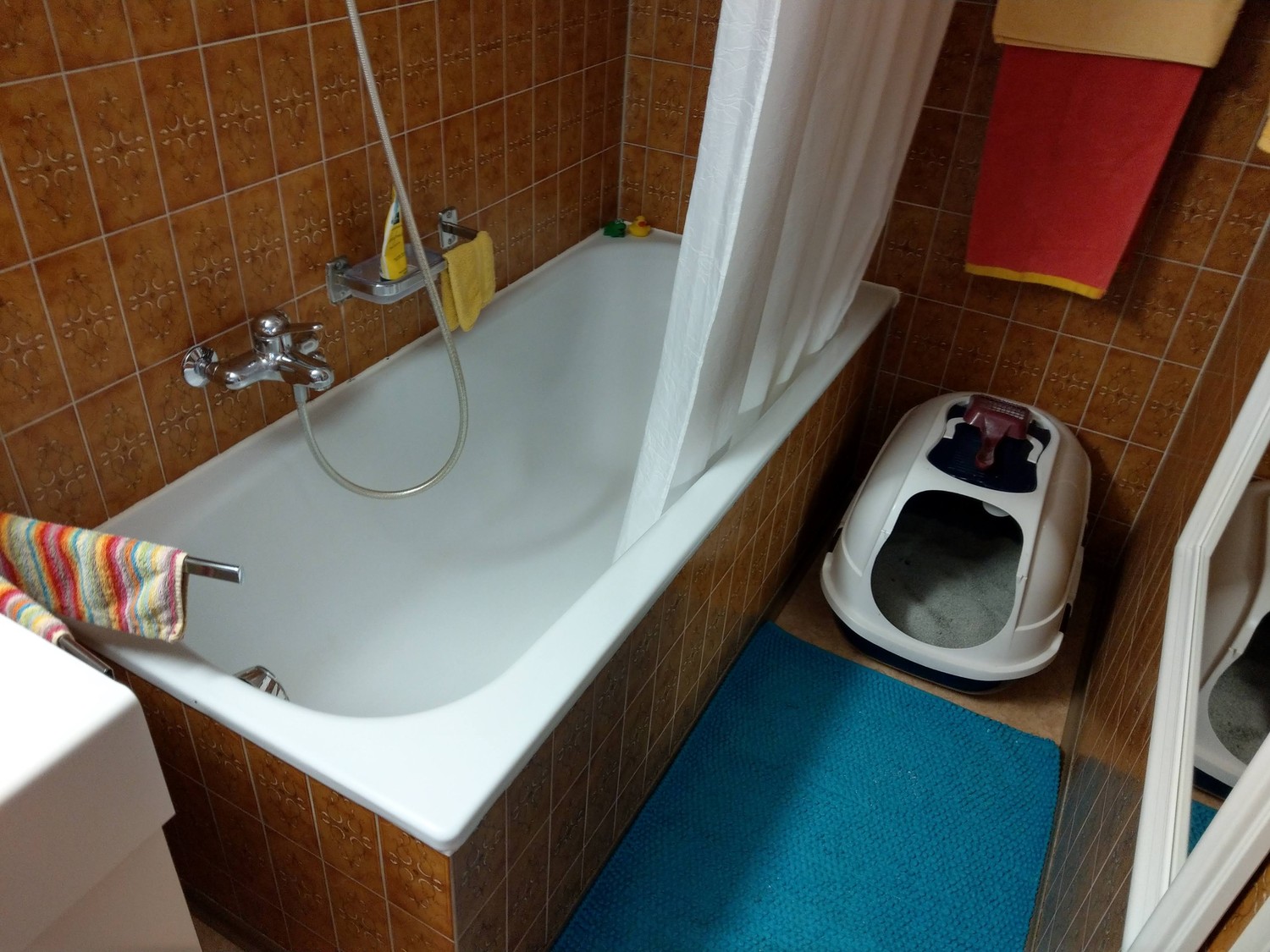 Chambre dans une colocation, photo 6 sur 10