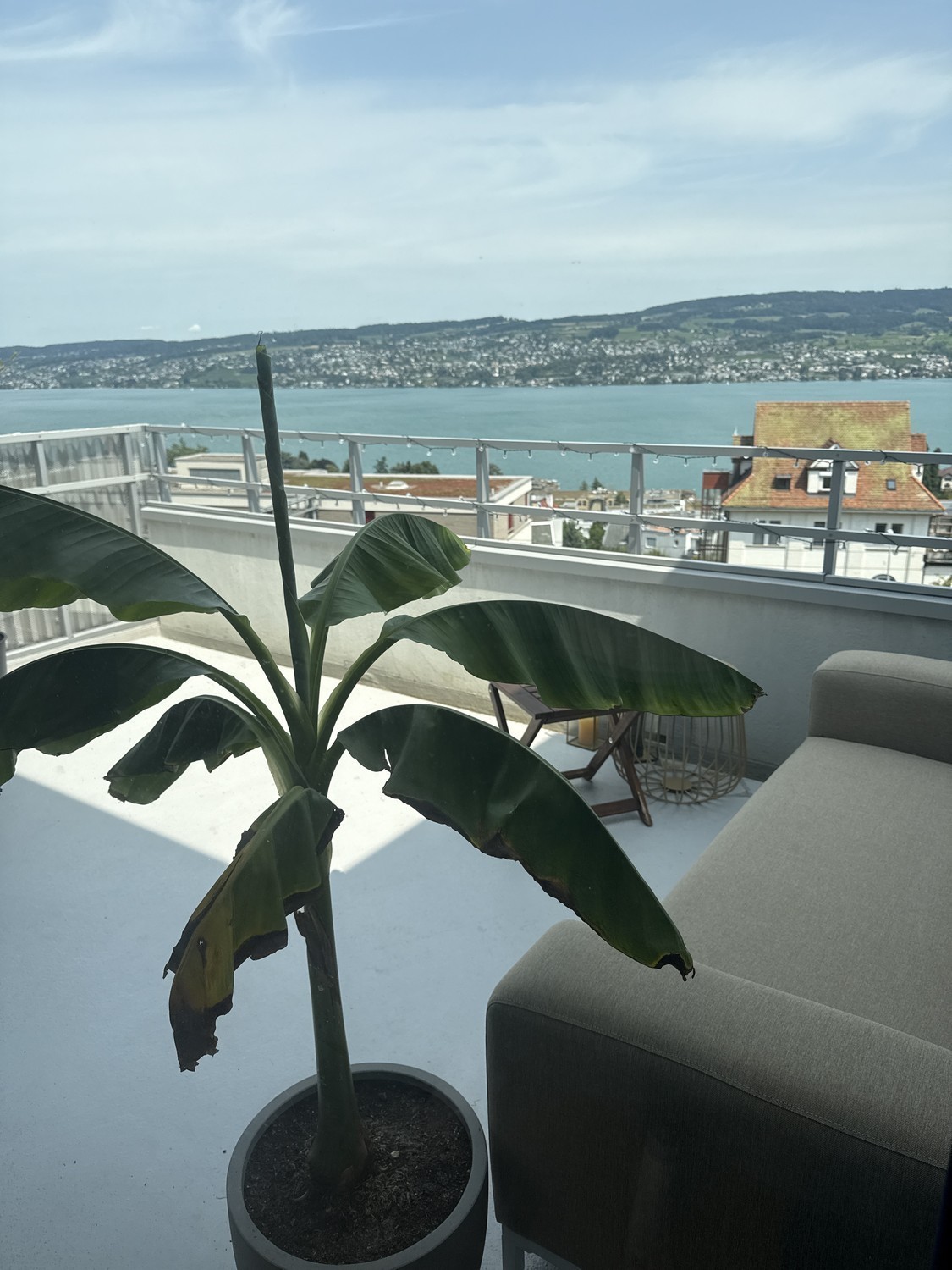 Appartement de 2 ½ pièces

Disponible pour trois mois avec des dates d'entrée et de sortie flexibles. Animaux acceptés., photo 2 sur 10
