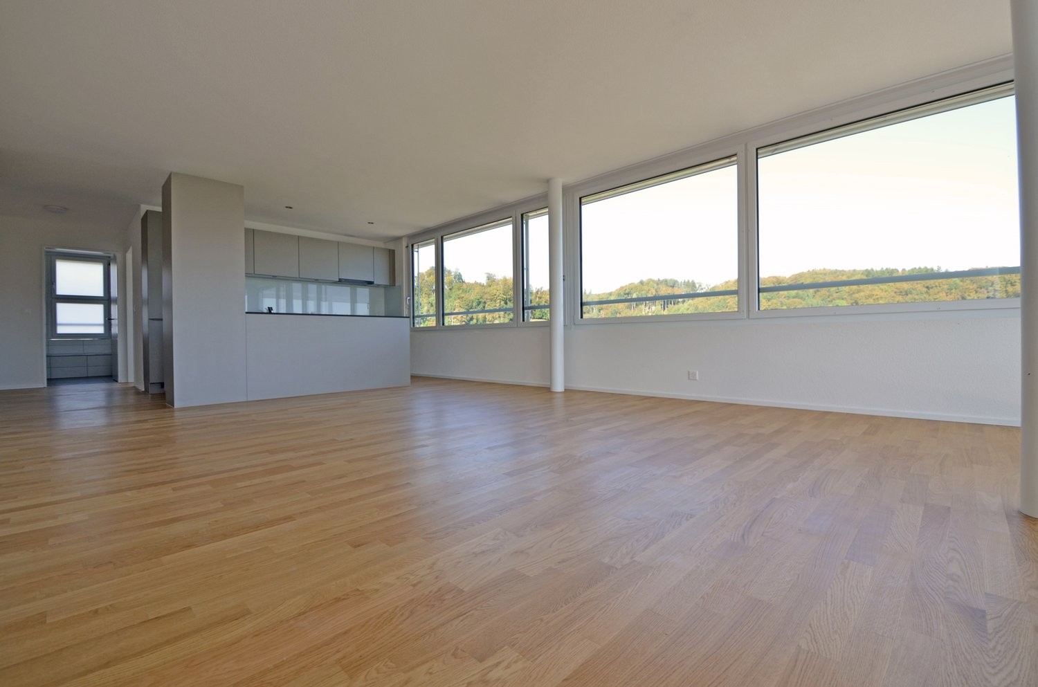 Appartement de 3 ½ pièces