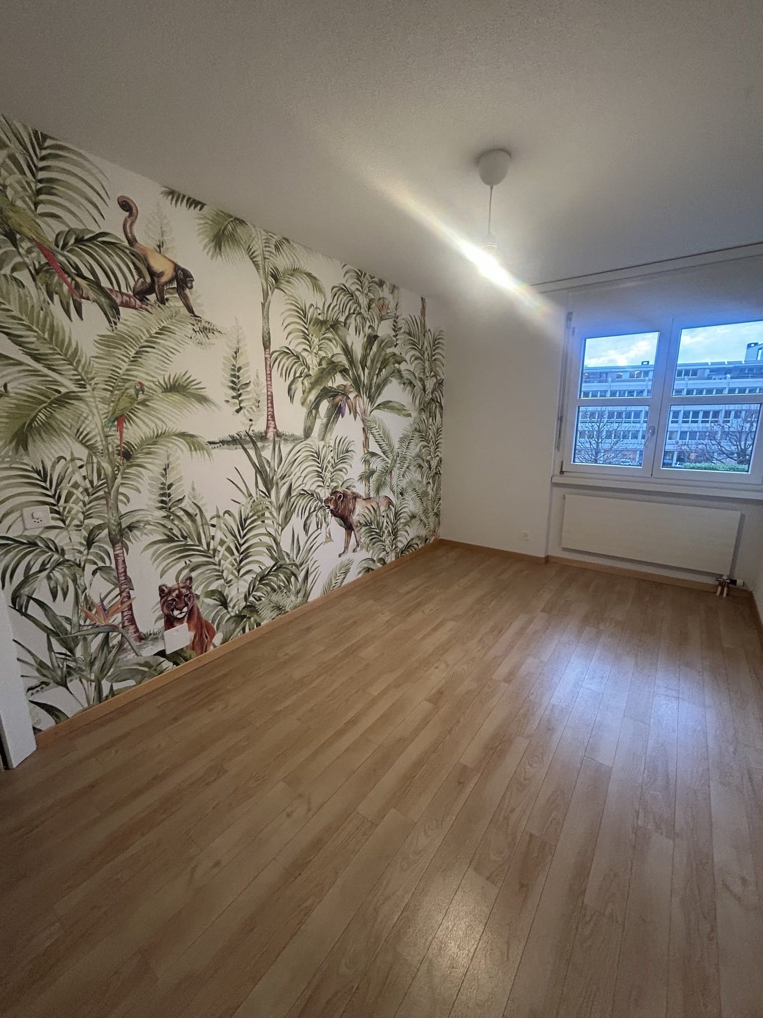 Chambre en colocation