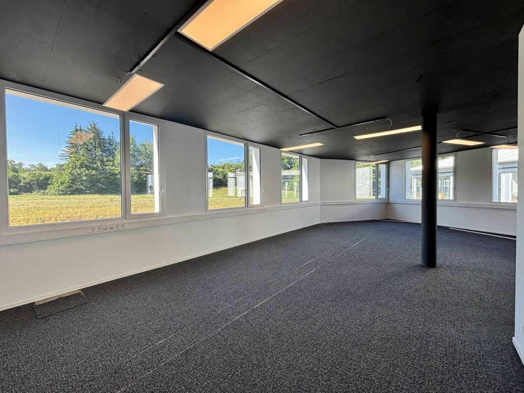 660m² factory, photo 4 sur 8