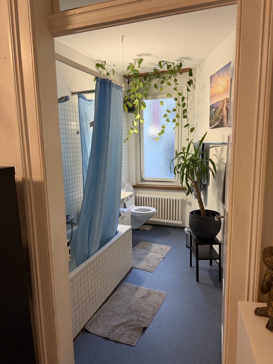Chambre en colocation, photo 3 sur 5