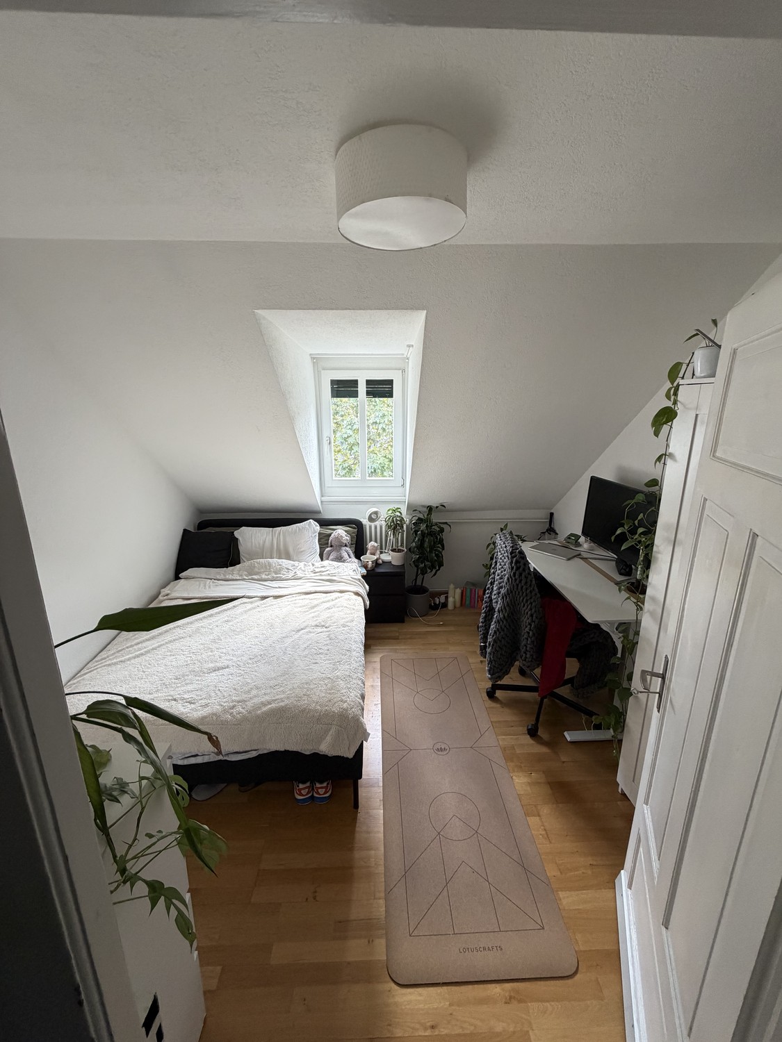Chambre en colocation, photo 1 sur 5