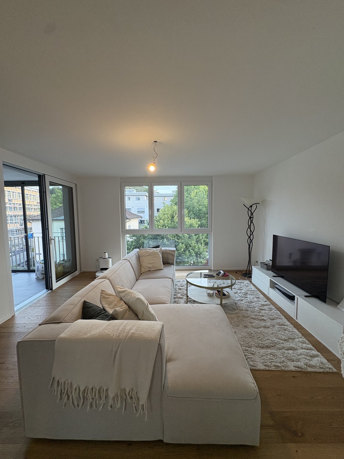 Appartement de 3 ½ pièces