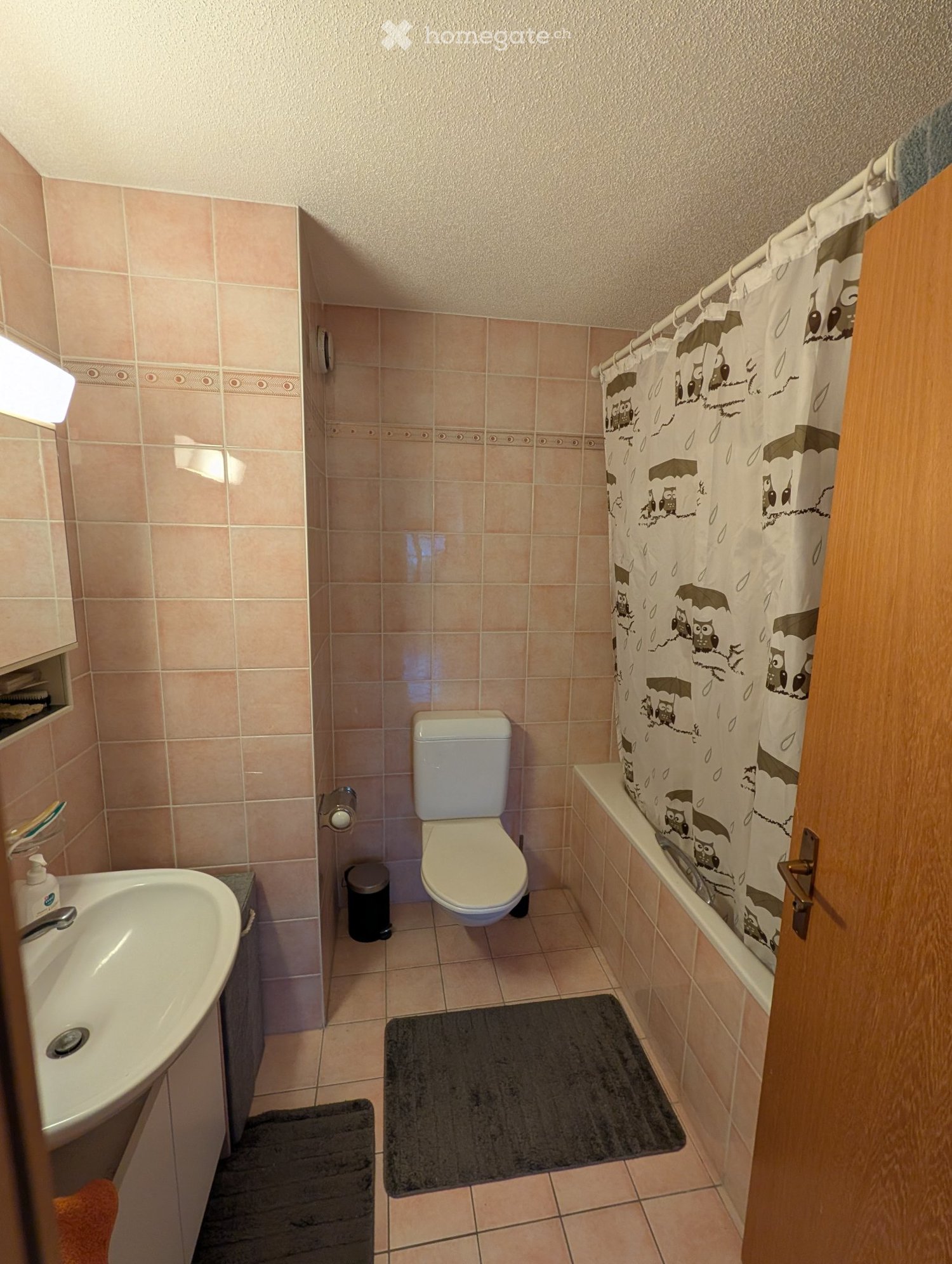 2 ½ rooms apartment, photo 4 sur 5