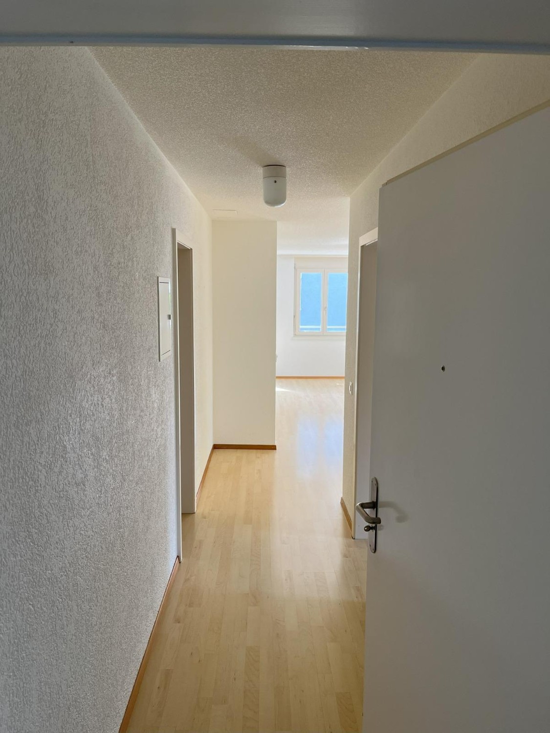 Appartement de 2 ½ pièces, photo 1 sur 6
