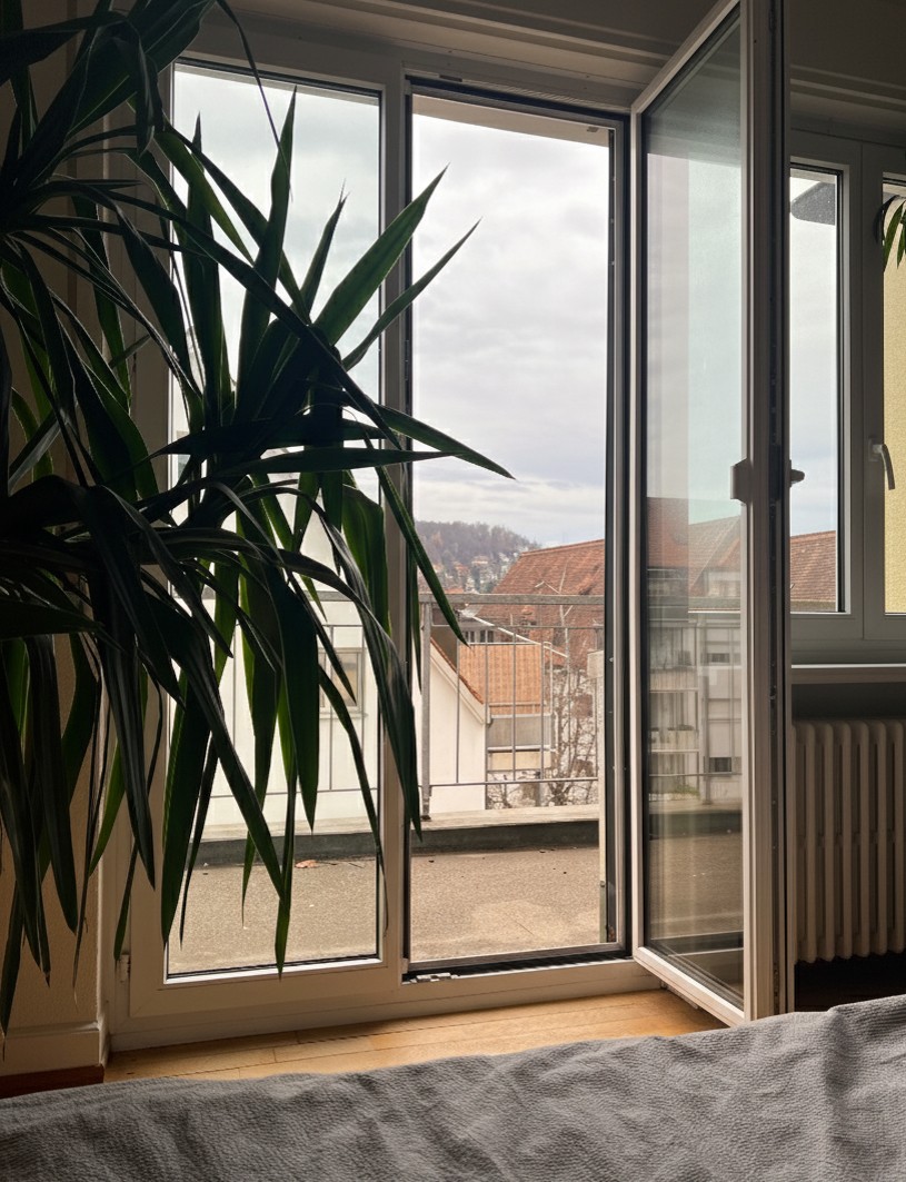 Appartement de 2 ½ pièces