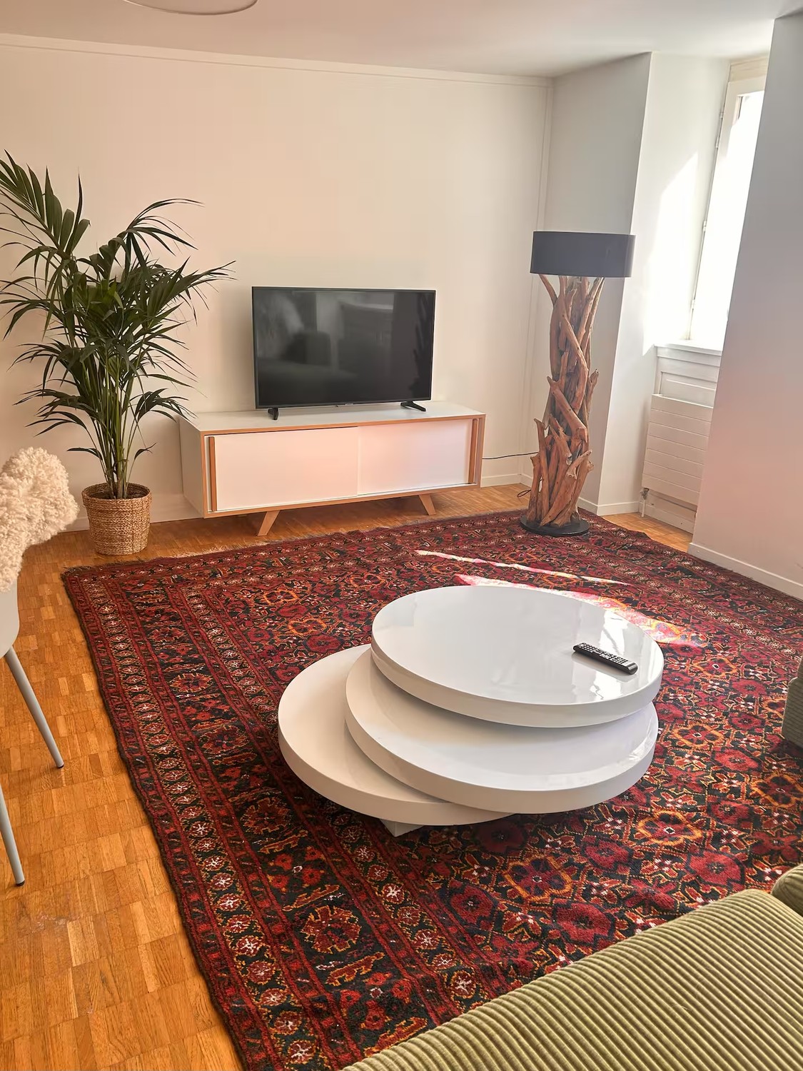 Appartement de 3 ½ pièces