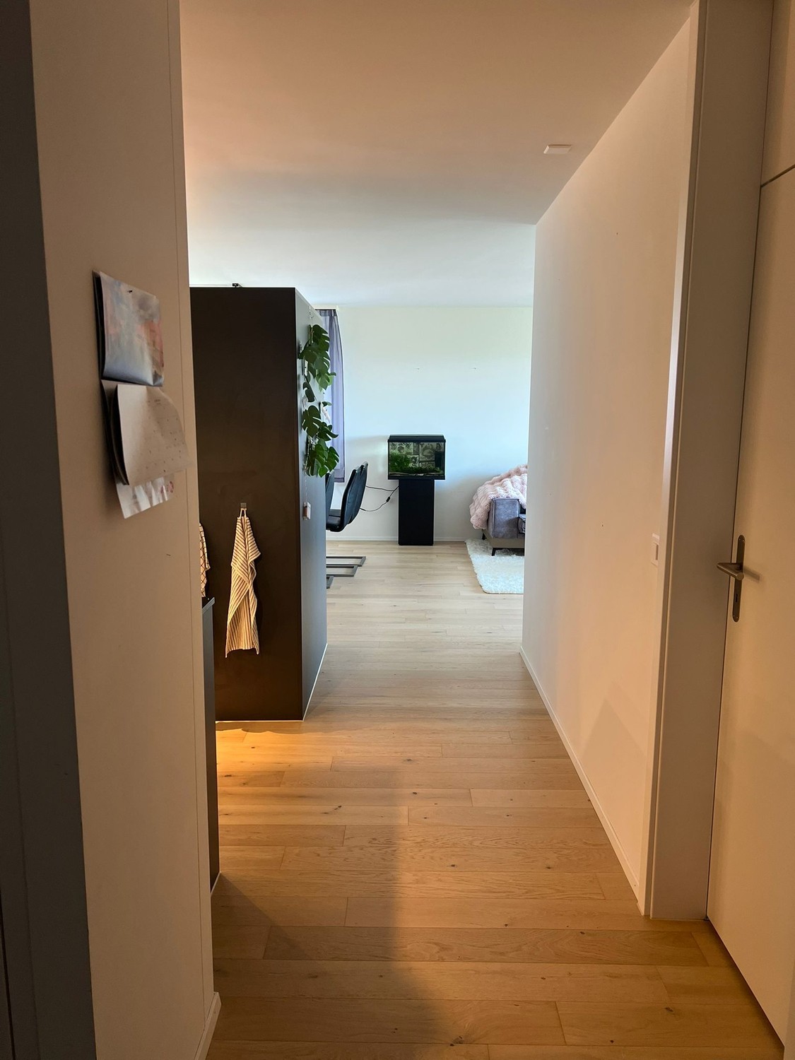 Chambre en colocation, photo 9 sur 10