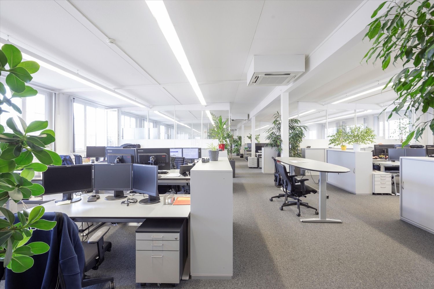 834m² commercial, photo 7 sur 7