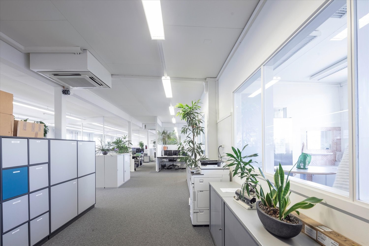 834m² commercial, photo 6 sur 7