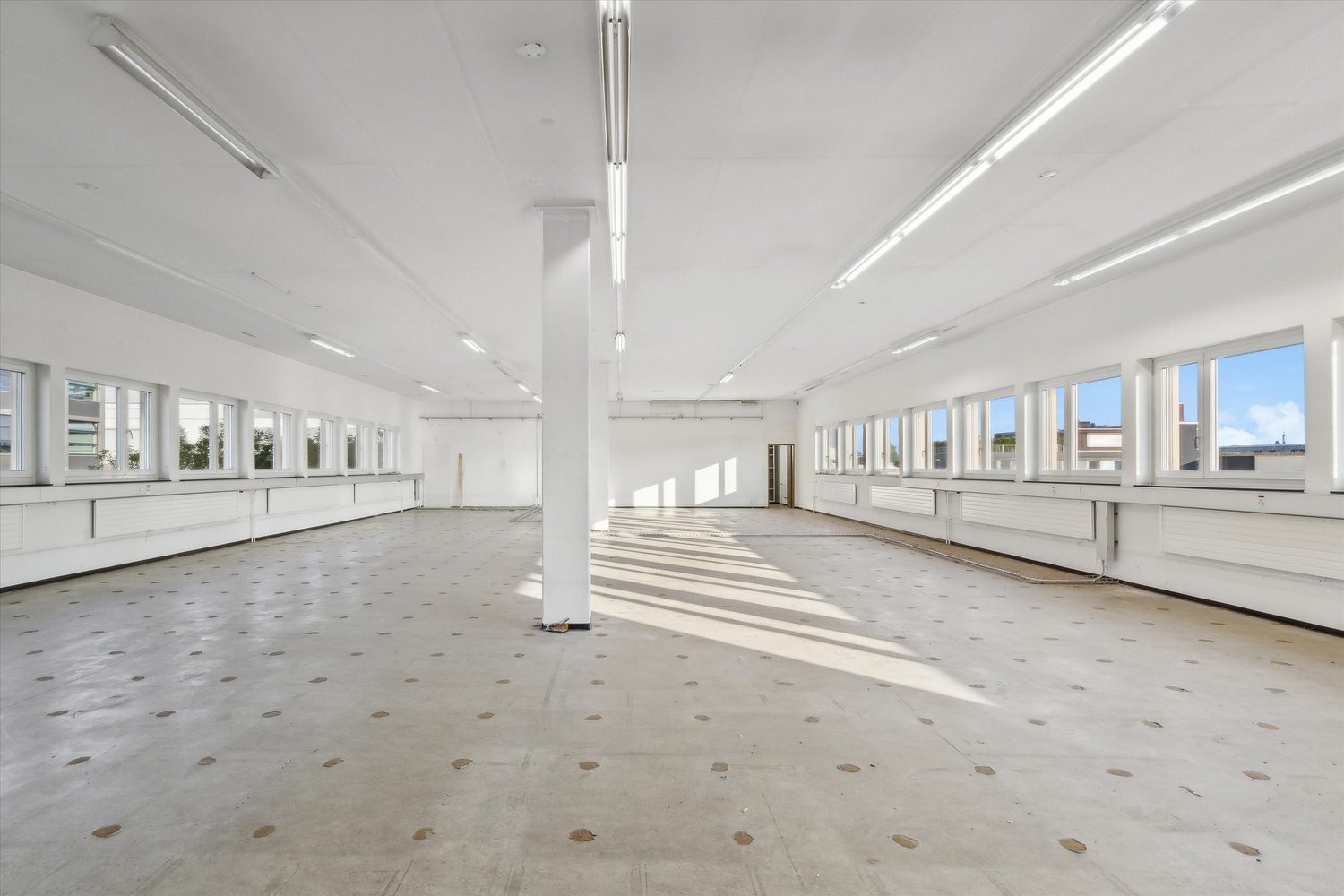 619m² bureau