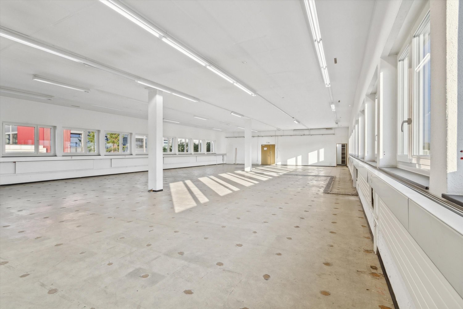619m² bureau