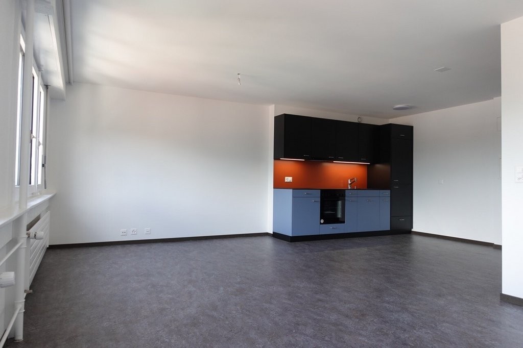 1 ½ rooms apartment, photo 1 sur 8