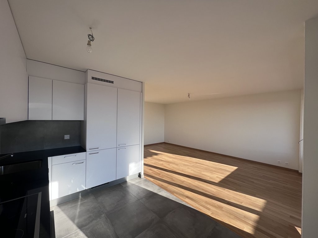 2 ½ rooms apartment, photo 2 sur 8
