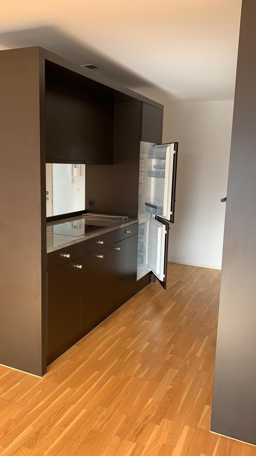 Appartement de 1 ½ pièces, photo 1 sur 10