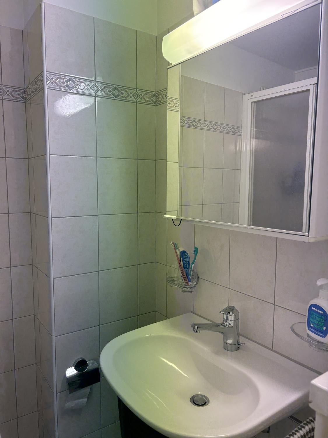 Appartement 1 pièce