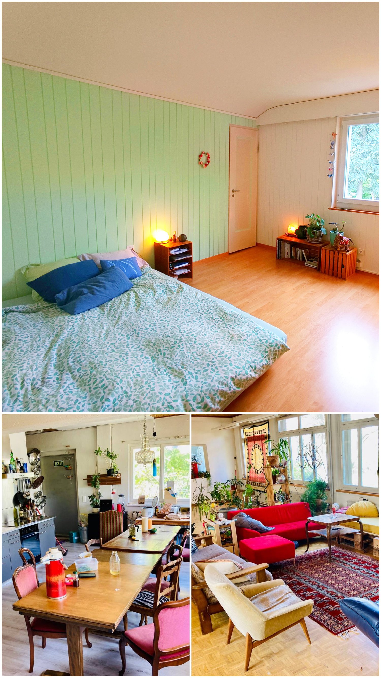 Room in a shared flat, photo 1 sur 2
