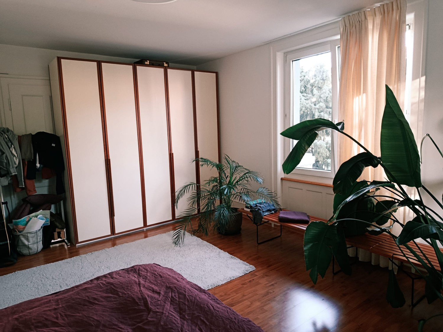 Chambre dans une colocation